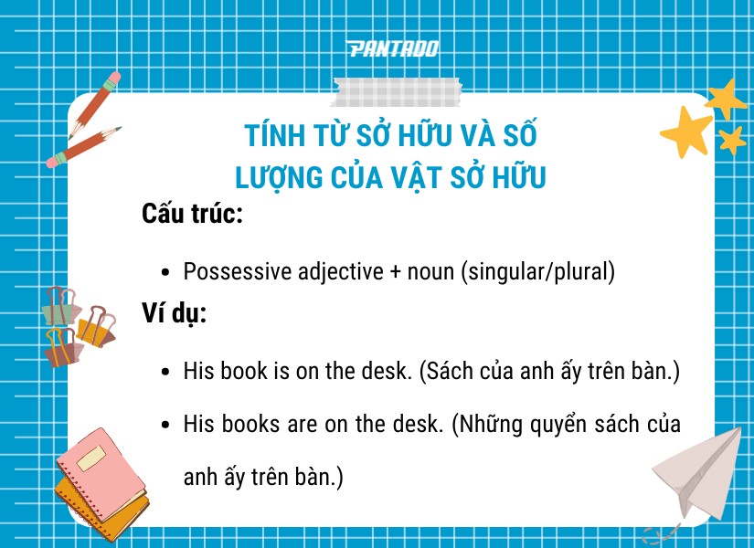 Dùng tính từ sở hữu đối với số lượng của vật sở hữu